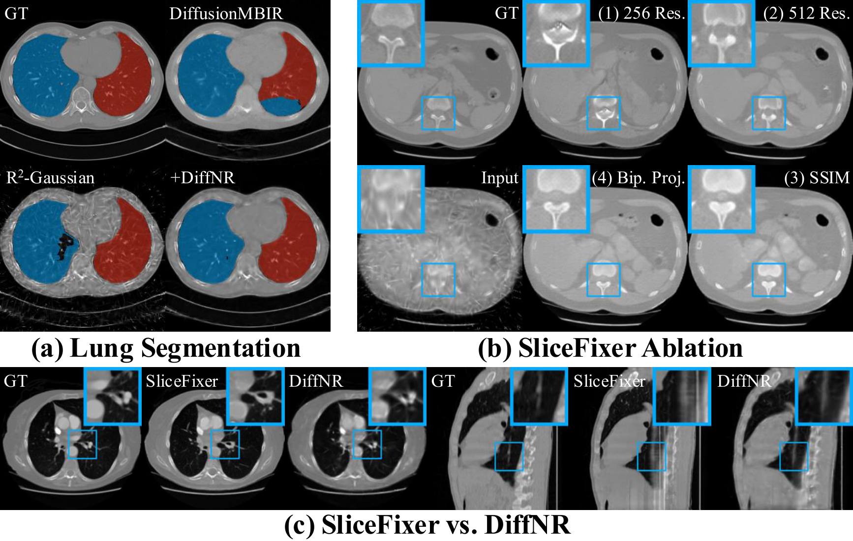 Ablation study and downstream tasks